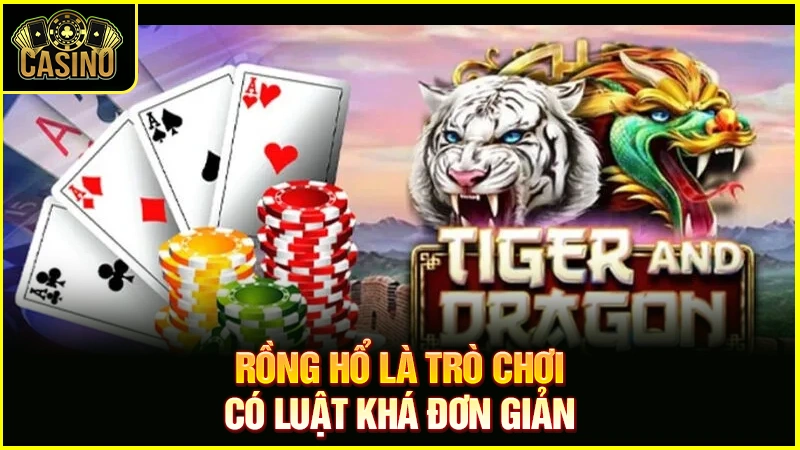Cách chơi Rồng Hổ luôn thắng | Luật đánh bài Dragon Tiger 31