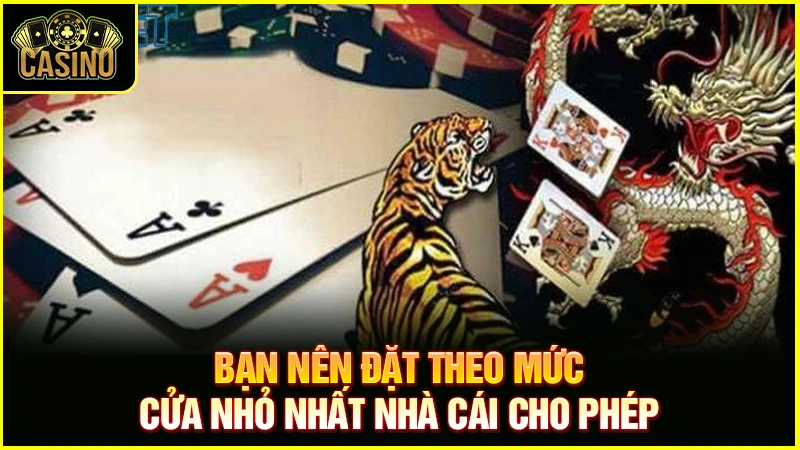 Cách chơi Rồng Hổ luôn thắng | Luật đánh bài Dragon Tiger 12 Cách chơi Rồng Hổ luôn thắng | Luật đánh bài Dragon Tiger 11