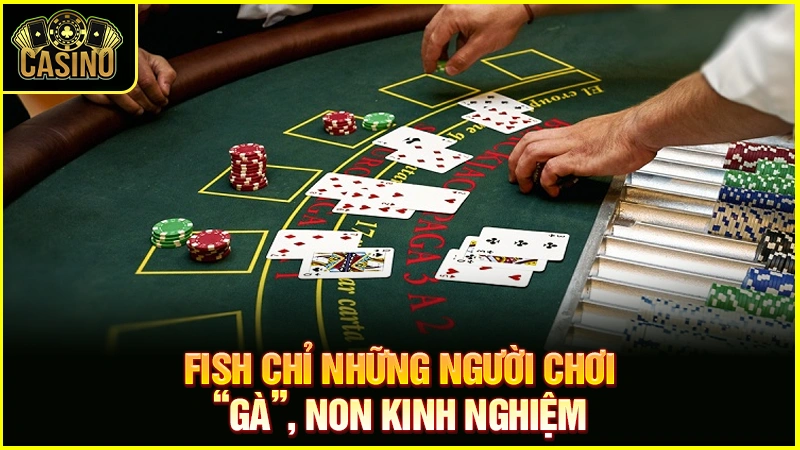 Fish trong Poker là gì? Cách nhận diện, làm gì khi gặp Fish? 33